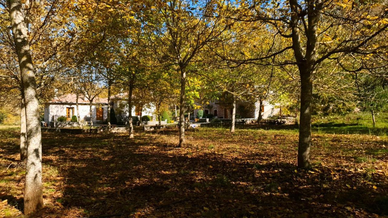 Andrea Sofi Guesthouse 디미트사나 외부 사진