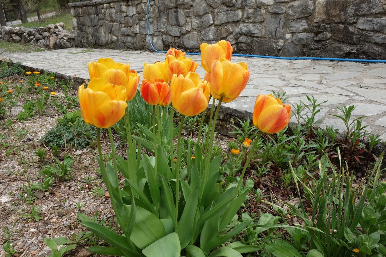 Andrea Sofi Guesthouse 디미트사나 외부 사진