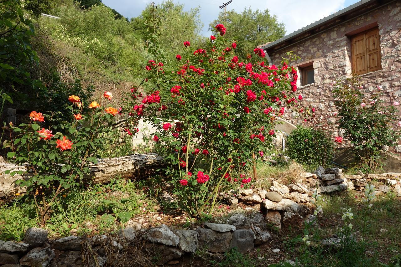 Andrea Sofi Guesthouse 디미트사나 외부 사진
